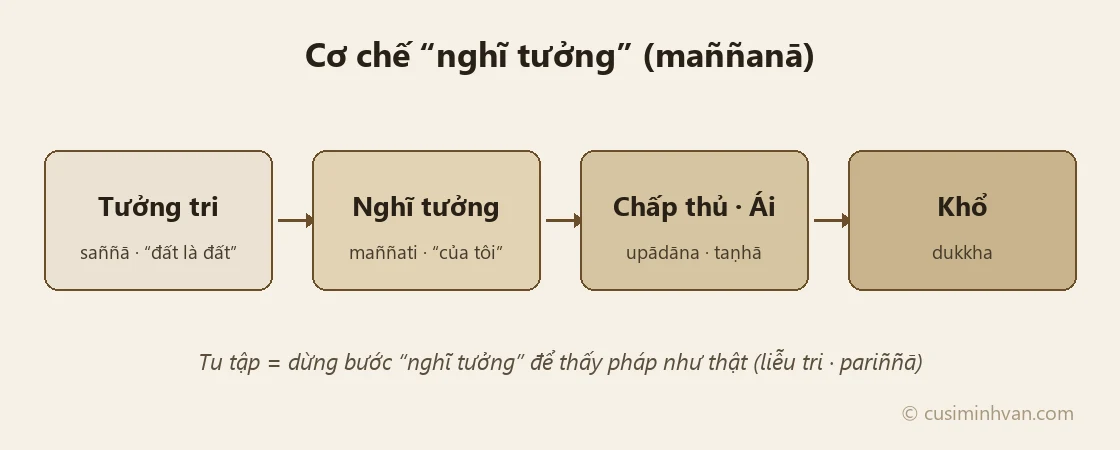 So do co che nghi tuong mannana